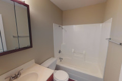 Hall Bathroom